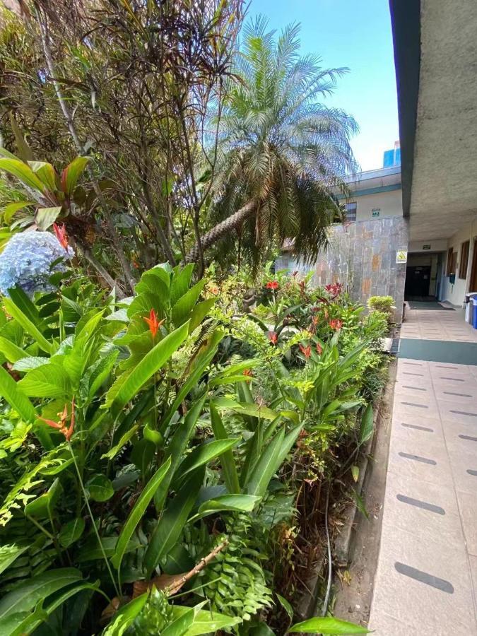 Hotel Ecological Inn 산호세 외부 사진